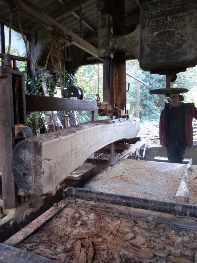 scierie-grumes-v15.jpg original 2021:11:04 16:39:34 3120 × 4160 px