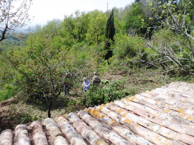 01-11-8-2016-05-07-jardins-samedi-(10).jpeg original 2016:05:07 11:28:07 1024 × 768 px
